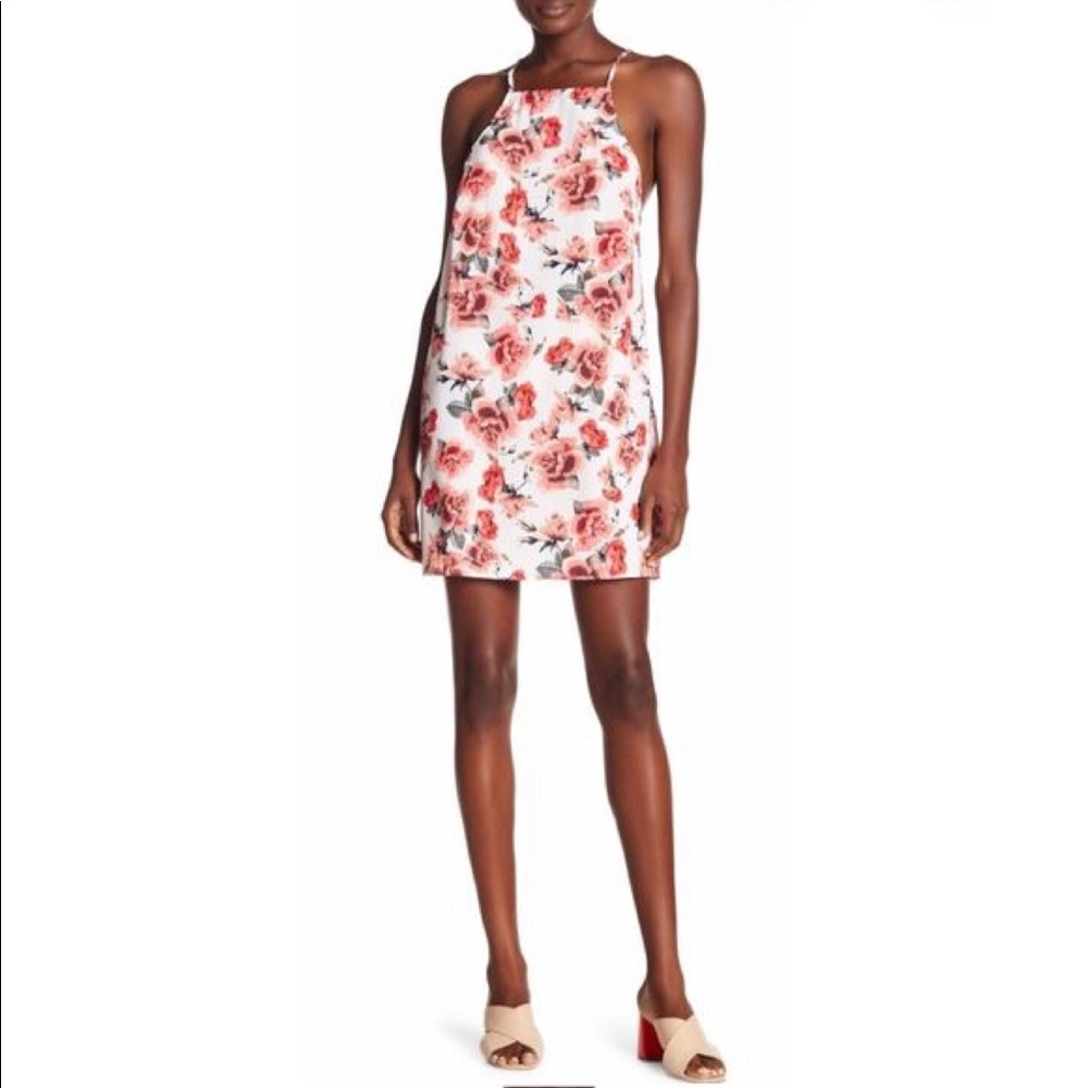 Show Me Your Mumu Traveler Mini Dress